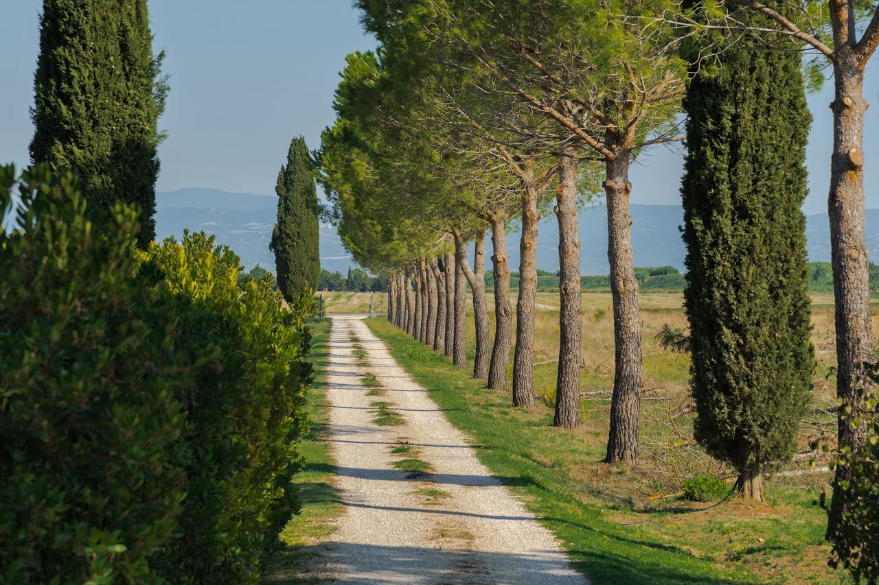 Agriturismo Bandinelli Braccagni Exterior photo