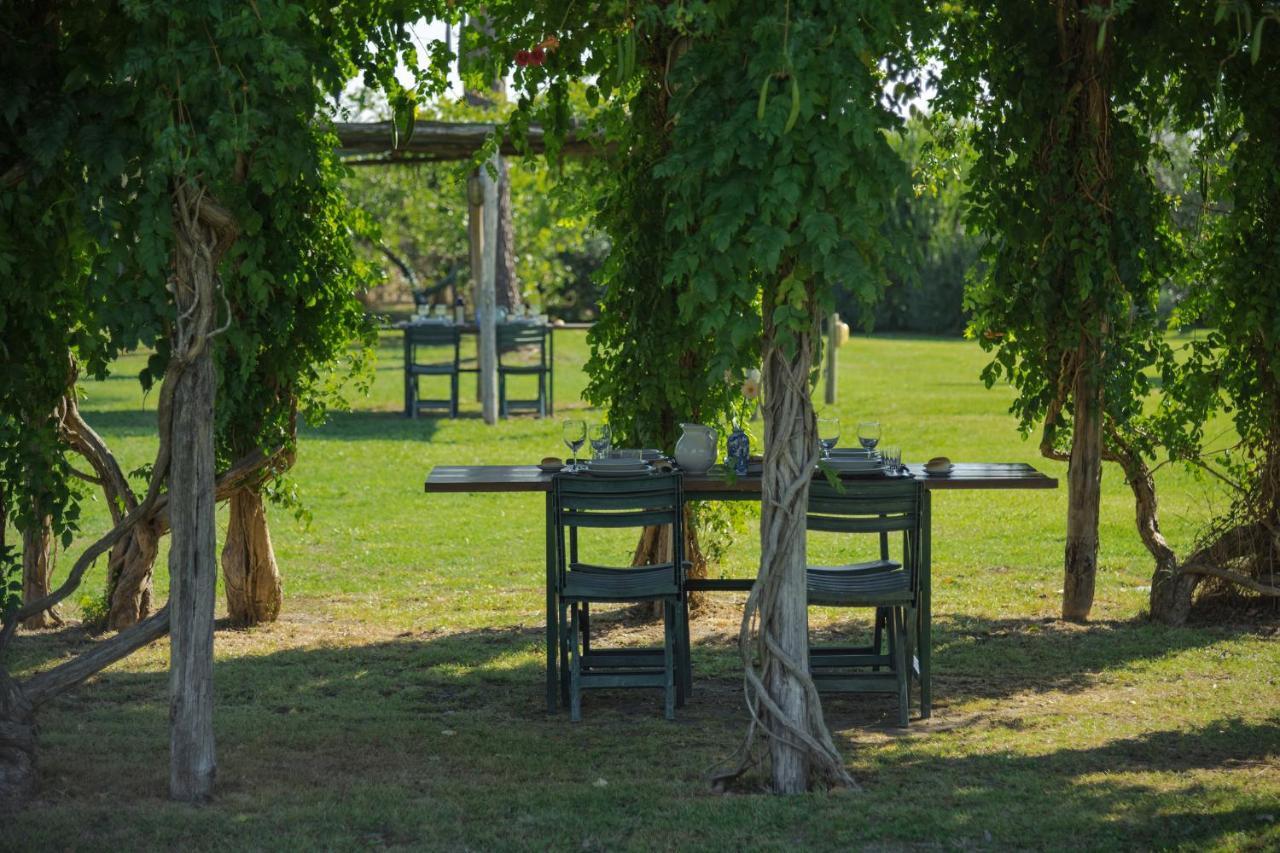 Agriturismo Bandinelli Braccagni Exterior photo