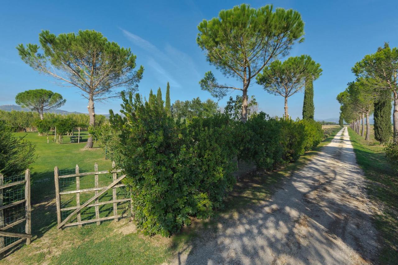 Agriturismo Bandinelli Braccagni Exterior photo